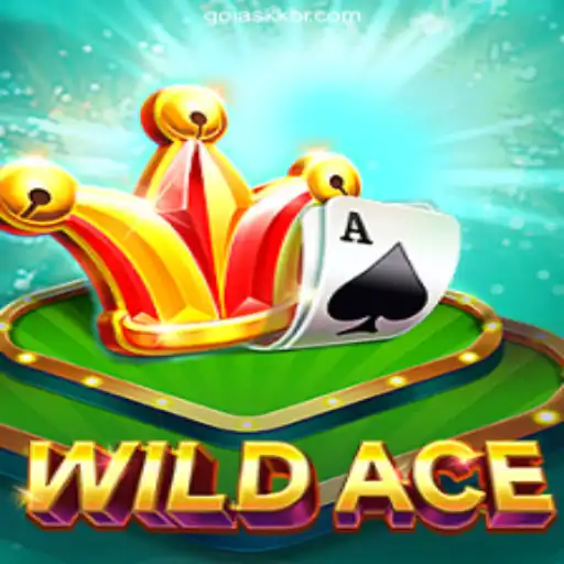 Exploring the Thrills of WildAce: A Gamer's Journey